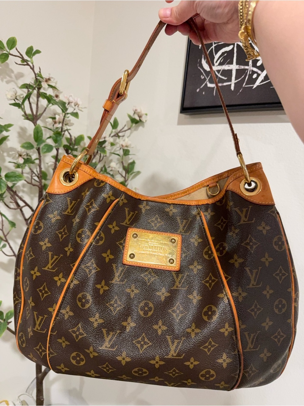 LV Galleria MM in Monogram